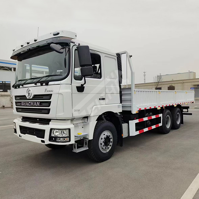 Shacman F3000 6X4  Cargo Truck LHD/RHD 3