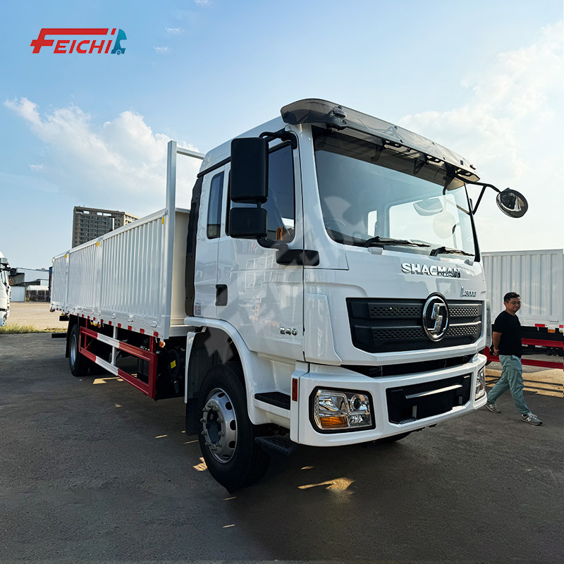 Shacman Cargo Truck L3000 4x2 Euro 2 Emission Standard Weichai Engine Left Steering with FAST Transm
